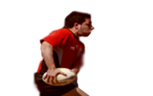 Syrako Rugby Concetto D'aquila